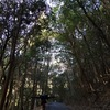 法正寺と廃炉となる日新製鋼プラントの今：自転車散歩：ポタリング