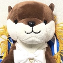 カワウソのあたま