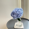 紫陽花の鉢植え、と使わないものはすぐに手放す