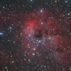 IC410星雲
