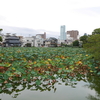 桃ヶ池（大阪阿倍野区）