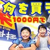 9月20日の動画