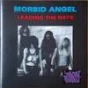 LEADING THE RATS【MORBID ANGEL】