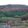 御所の台里山風景