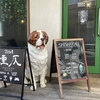 広々とした路面店でシーシャとボードゲームを楽しむ「煙仄2nd」 池袋店