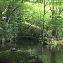 紅茶片手に読書している。そして音楽を聴きながら