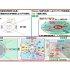 「感謝と貢献」第６２５日