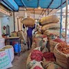 （インド旅行´25）オールド・デリーにあるスパイスマーケット