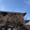 ダウンシュラフ