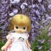 ミルクちゃんとお花
