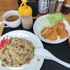 海水浴場・炒飯とチキンカツ・南瓜の葉の炒め物