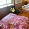 実家に帰省