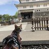 あずきちゃんがいっぱい10　記念日旅行【前編】
