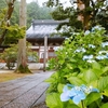 蓮寺🌸青原寺（せいげんじ）｜安曇野市