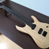 GOC GUITARS外観・品質レビュー