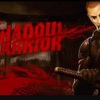 クリアしたゲームタイトル：Shadow Warrior