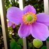 冷え込んできました・・