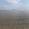姉子の浜海岸清掃
