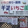 完熟いちご🍓狩り情報　５月３日(月)休園日です🙏