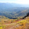 9月26日　黒岳〜旭岳縦走・紅葉状況