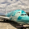 【ANA】2024年 家族旅行にもおススメ！ANAフライングホヌでのハワイ旅行！ホノルル→成田フライトレビュー【エコノミー 機内食】