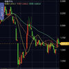株式投資ブログ１月２９日
