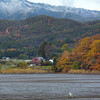 広沢池の紅葉・愛宕山の初冠雪