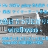 CAFE NA COSTA gallery作品展示vol.12