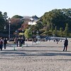 久々に皇居へ。