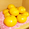 ★蜜柑