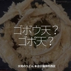 2597食目「ゴボウ天？ゴボ天？」大地のうどん 本店＠福岡市西区