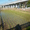 蕨、戸田、川口、鳩ヶ谷の古を考えるー補助として