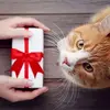 病(やまい)のもたらす「ギフト」というのは確かにあるな