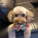 haro_no_kurashiの日記