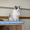 春到来でふくちゃんも元気いっぱい