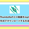 Thumbzillaとは？動画を永久保存する方法をご紹介