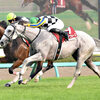 競馬初心者必見☆馬券予想🔥〜セントライト記念〜皐月賞馬が秋初戦を迎えます