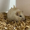 くるみあん509日目