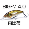 【Megabass】他社と差別化したフラットサイドマグナムクランク「BIG-M 4.0」再出荷！