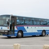 沖縄バス / 沖縄22き ・・35