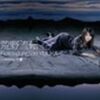  荒野流転　/　FictionJunction YUUKA