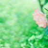 30日の講座の開催について～個人セッション先着枠は満席となりました～