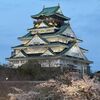 大阪城に登って、今度こそお花見をしてきました