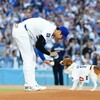 驚愕のデコピン始球式！大谷翔平の愛犬が野球界に革命を起こす