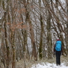 大雪の国見山遊山　山を見る