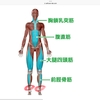 足首の前が凝るのは何故？
