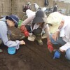 ＜農業講座日記＞ホウレンソウと春菊の種まき、枝豆は収穫終了（10月８日）