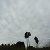ヨガ教室　３年目になるようです。
