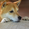 大汗をかいた