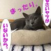 懲りないヤツ